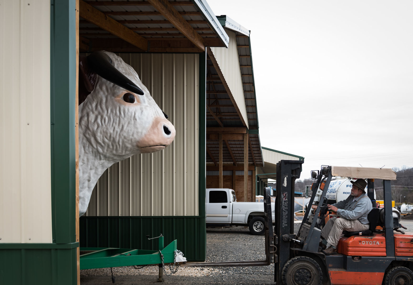 Steve Newsom's Bull Statue